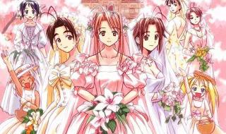 我的美女俏房客 我的美女俏房客