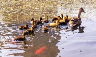 大连前关经济适用房 大连前关经济适用房